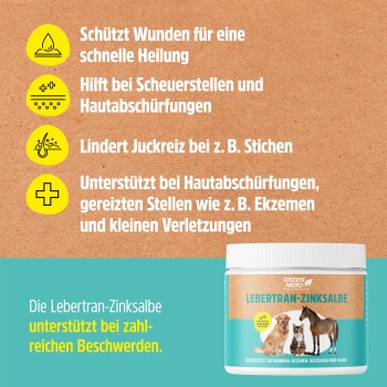 Weißer Behälter von Green Hero Lebertran-Zinksalbe auf türkisfarbenem Hintergrund, mit Text über natürliche Regeneration und sanfte Pflege.