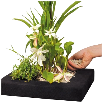 Eine Hand streut Kieselsteine um grüne Pflanzen und weiße Blumen in einem schwarzen Blumentopf und zeigt ein lebendiges Indoor-Garten-Setup.