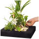 Eine Hand streut Kieselsteine um grüne Pflanzen und weiße Blumen in einem schwarzen Blumentopf und zeigt ein lebendiges Indoor-Garten-Setup.
