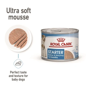 Canned dog food labeled "Royal Canin Starter," designed for mother and baby dogs aged 1-2 months, featuring ultra soft mousse texture.