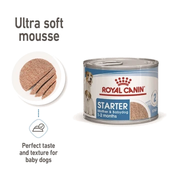 Canned dog food labeled "Royal Canin Starter," designed for mother and baby dogs aged 1-2 months, featuring ultra soft mousse texture.