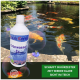 Aqua Cereal Grünwasser Ex Flasche an einem Teich mit Koi-Fischen, Text: "Stellt die Sichtbarkeit des klaren Teiches schnell wieder her."