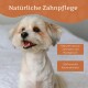 Ein glücklicher kleiner Hund auf einer weißen Oberfläche, mit Text darüber: "Natürliche Zahnpflege" und Kästchen für die Vorteile der Zahnpflege.