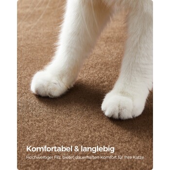 Nahaufnahme von Katzenpfoten auf einer braunen Oberfläche mit dem Text: "Komfortabel & langlebig" und "Hochwertiger Filz für dauerhaften Komfort."