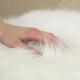 Filz-Katzenkorb Zoey beige