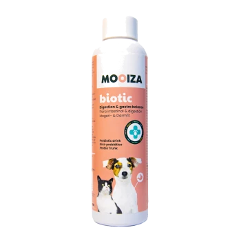 Probiotisches Getränk für Haustiere, beschriftet mit "MOOIZA biotic", das die Verdauung und das gastrointestinale Gleichgewicht fördert, mit einem Hund und einer Katze auf der Flasche.