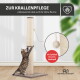 Getigerte Katze kratzt an hohem Sisal-Pfosten mit hängendem Ball; sichtbarer Text 'ZUR KRALLENPFLEGE' und 'mit Spielball'.