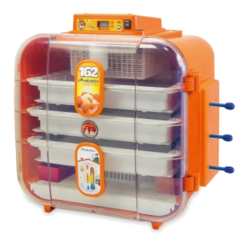 Digitaler Eierinkubator mit transparentem Deckel, orangefarbenem Gehäuse und mehreren Tabletts zum Ausbrüten von Eiern, beschriftet mit "162 DIGITAL."