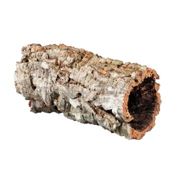 Natürlicher Korkstamm für Haustiere, mit einer strukturierten, rauen Oberfläche und hohlem Inneren, ideal zum Klettern oder Verstecken.