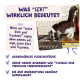 Katze auf dem Herd schnuppert an einem Topf neben der deutschen Überschrift 'WAS "ECHT" WIRKLICH BEDEUTET' und Text über echte Ente und Truthahn.