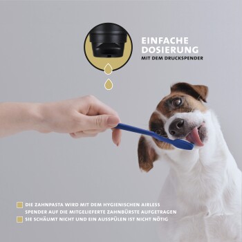 Eine Person putzt einem Hund die Zähne mit einer blauen Zahnbürste, mit einem schwarzen Spender für einfache Dosierung und ohne Ausspülen.
