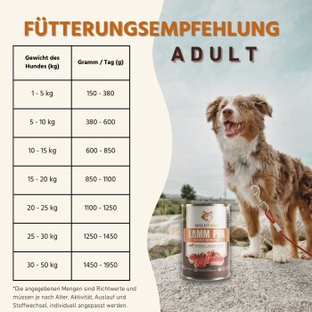 Fütterungstabelle mit dem Titel 'FÜTTERUNGSEMPFEHLUNG ADULT' links; braun-weißer Hund an der Leine und rechts eine Dose mit der Aufschrift 'WILDFANG LAMM PUR' auf einem Felsen