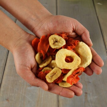 Hände halten eine Mischung aus getrockneten Bananen-, Apfel- und Karottenscheiben, Haustierleckerei aus einem Onlineshop.