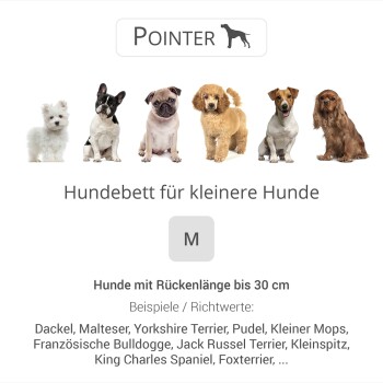 Kleine Hunderassen auf einem Bett mit der Aufschrift 'Hundebett für kleinere Hunde', Größe M für Hunde bis 30 cm Länge.