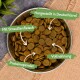 Schüssel mit Haustierfutter-Kibble, beschriftet auf Deutsch: "Hergestellt in Deutschland," "Mit Straußenfleisch," "Vollständige Ernährung," "Proteinquelle."