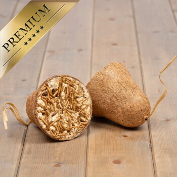 Premium-Haustierleckerei in Form einer Kokosnuss, gefüllt mit Mehlwürmern, auf einer Holzoberfläche präsentiert.