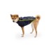 Ein Shiba Inu Hund trägt eine marineblaue Fleecejacke mit bunten Punkten und gelben Reißverschlüssen, steht vor einem weißen Hintergrund.