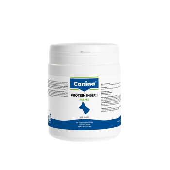 Weiße Dose mit Canina Protein Insect Pulver für Hunde, blaues Etikett mit Hundesilhouette und der Aufschrift "Protein Insect Pulver".