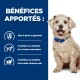 Chien avec un collier bleu sur un fond bleu, énumérant les avantages : 'Aide à gérer la glycémie,' 'Maintien de la masse musculaire,' 'Poids corporel sain.'