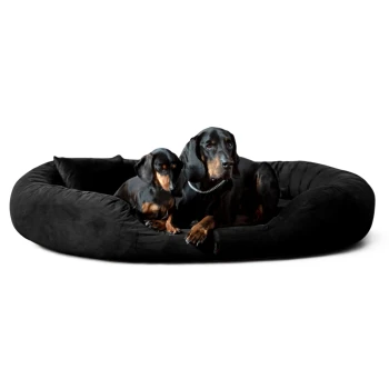 Zwei schwarz-braune Dackel liegen auf einem großen schwarzen Plüsch-Hundebett mit Kissen.