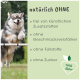 Ein fröhlicher Hund springt über ein Hindernis, mit "natürlich OHNE" und Vorteilen: keine Zusatzstoffe, Verstärker, Füllstoffe oder Zucker, plus einem "100% Natur"-Logo.