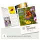 Eine bunte Broschüre mit dem Titel "Ein Zuhause für Insekten", die einen Schmetterling auf Blumen zeigt, mit Text über Wildtiere und deren Pflege und Verhalten.