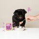 Un carlin noir attend avec impatience de la nourriture alors qu'une main tient une cuillère de nourriture pour animaux de compagnie "Delicious Game & Duck" d'Edgard & Cooper près d'un bol en métal.