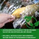 Eine Person hält einen gelben Fisch im Wasser, mit Text über den Proteingehalt und schmackhafte Zutaten für gesundes Wachstum.