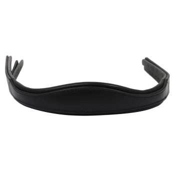Schwarzes Leder-Haustierhalsband mit einem glatten, gepolsterten Design und verstellbaren Riemen.