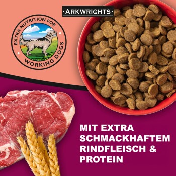 Arkwright Aktiv mit Rind und Huhn 15kg