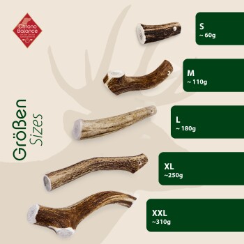 Bild von verschiedenen Größen natürlicher Geweihkausnahrung für Haustiere, beschriftet S (60g), M (110g), L (180g), XL (250g) und XXL (310g).