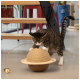 Un chat tigré joueur interagit avec un jouet à gratter en forme de planète unique fait de corde et de bois, avec une plume et une balle suspendues.