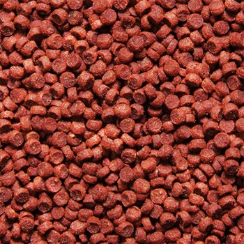Nahaufnahme von kleinen, runden, rötlich-braunen Haustierfutterpellets, die über eine Oberfläche verstreut sind.