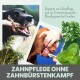 Zwei Hunde: einer kaut auf einem Stock, der andere bekommt die Zähne geputzt. Der Text fördert die Zahnpflege für Hunde ohne Kampf mit der Zahnbürste.