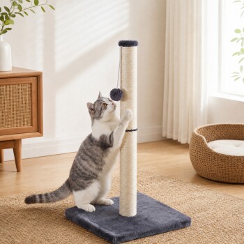 Grau-weiße Katze kratzt an hohem Sisalpfosten mit hängendem Bommel auf grauer Plüschbasis in einem sonnendurchfluteten Wohnzimmer.