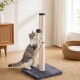 Grau-weiße Katze kratzt an hohem Sisalpfosten mit hängendem Bommel auf grauer Plüschbasis in einem sonnendurchfluteten Wohnzimmer.