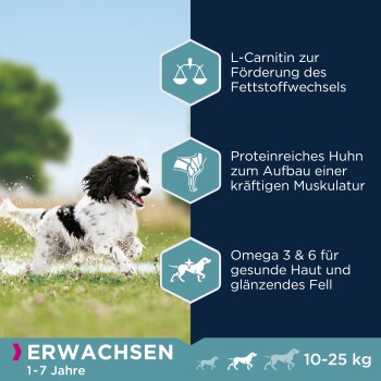 Ein verspielter schwarz-weißer Hund läuft im Gras, mit Text über die Vorteile des Hundefutters: L-Carnitin, proteinreiches Huhn und Omega 3 & 6.