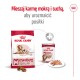 Opakowanie karmy dla psów Royal Canin z suchą karmą w czerwonej torbie i mokrą karmą w puszce, z tekstem promującym mieszanie obu dla lepszych posiłków.