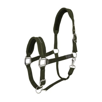Olivgrünes Haustiergeschirr mit gepolsterten Riemen und Metall-Schnallen, entworfen für Komfort und Kontrolle während der Spaziergänge.