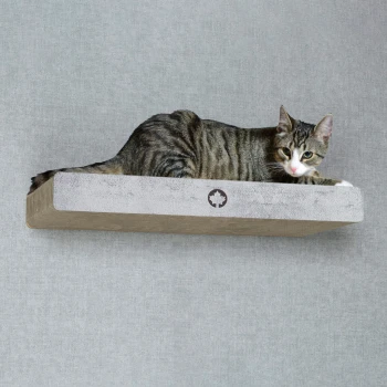 Eine gestreifte Tabby-Katze, die auf einem modernen, wandmontierten Katzenregal mit einem Ahornblatt-Logo vor einem grauen Hintergrund entspannt.