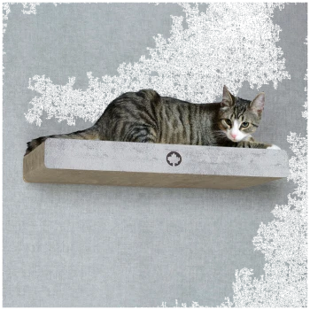 Eine gestreifte Tabby-Katze, die auf einem modernen, wandmontierten Katzenregal mit einem Ahornblatt-Logo vor einem grauen Hintergrund entspannt.
