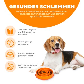 Ein Beagle sitzt neben einer orangefarbenen spiralförmigen Fressschüssel mit Trockenfutter und fördert die Vorteile des langsamen Fütterns, wie die Verhinderung von Fettleibigkeit und die Unterstützung der Verdauung.