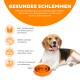 Ein Beagle sitzt neben einer orangefarbenen spiralförmigen Fressschüssel mit Trockenfutter und fördert die Vorteile des langsamen Fütterns, wie die Verhinderung von Fettleibigkeit und die Unterstützung der Verdauung.