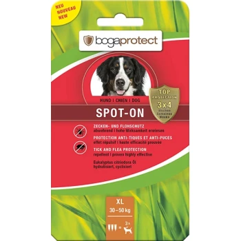 Verpackung eines Hundefloh- und Zeckenpräventionsprodukts mit einem Hundebild, mit Text in Deutsch und Französisch, der 'Spot-On' und 'Top Protection' angibt.