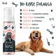 Ein glücklicher Golden Retriever liegt neben Bugalugs No Rinse Papaya & Coconut Shampoo und zeigt dessen schnelle, feuchtigkeitsspendende und sanfte Vorteile.