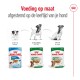 Royal Canin hondenvoer verpakking toont drie leeftijdscategorieën: Puppy (2-10 maanden), Mini Volwassen (10 maanden-8 jaar), en Mini Veroudering (8+ jaar).