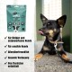 Ein kleiner schwarz-brauner Hund sitzt auf einem Bürgersteig neben "eat SMALL Insects for Pets Spirit" Hundeleckerlis, geeignet für alle Hunde.