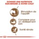 Image promouvant une nutrition sur mesure pour les chats, présentant trois avantages clés : stimulation de l'appétit, complexe de vieillissement sain et santé rénale.