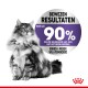 Een fluffy kat op de voorgrond met een cirkelvormige grafiek met de tekst 'BEWEZEN RESULTATEN' en 'MEER DAN 90% VAN DE EIGENAREN...'