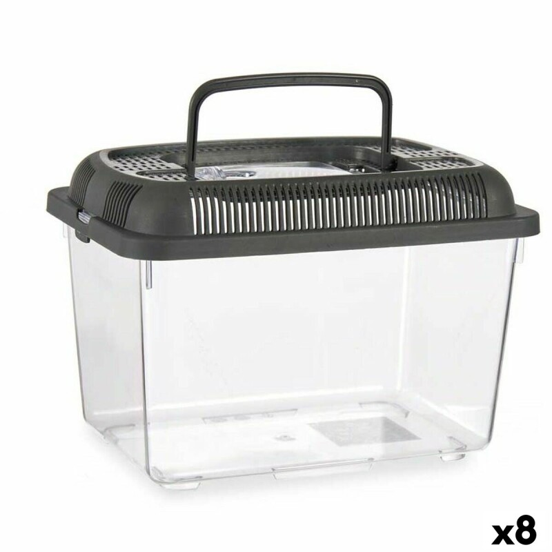 Mascow Fischbecken